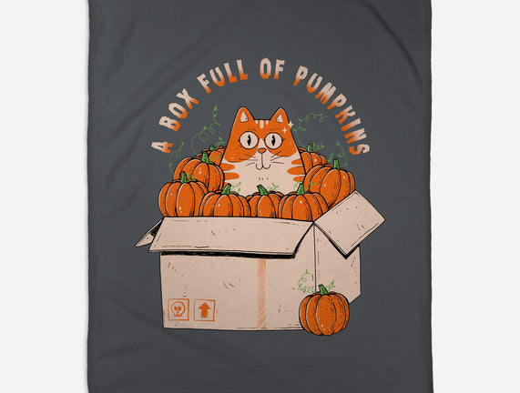 A Box Full Of Pumpkins