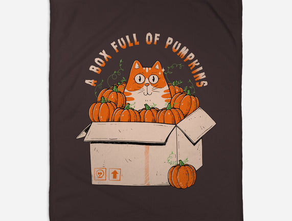 A Box Full Of Pumpkins