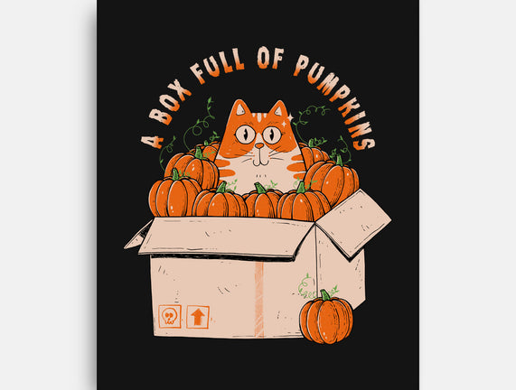 A Box Full Of Pumpkins