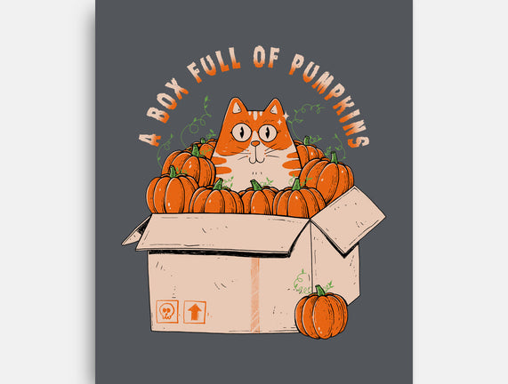 A Box Full Of Pumpkins