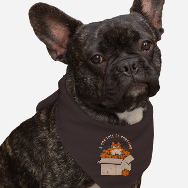 A Box Full Of Pumpkins-Dog-Bandana-Pet Collar-GODZILLARGE