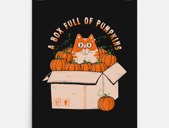 A Box Full Of Pumpkins