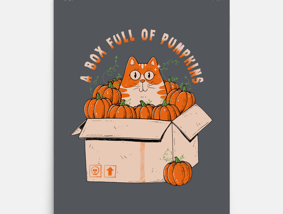 A Box Full Of Pumpkins