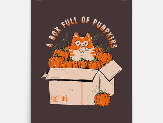 A Box Full Of Pumpkins