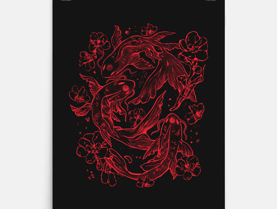 Red Koi