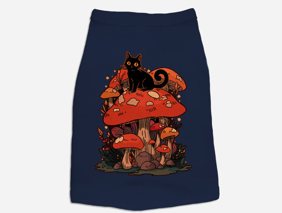 Feline Fungi