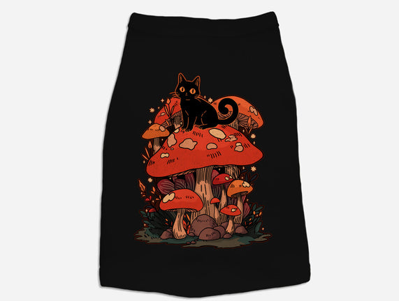 Feline Fungi