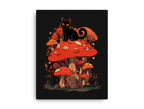 Feline Fungi