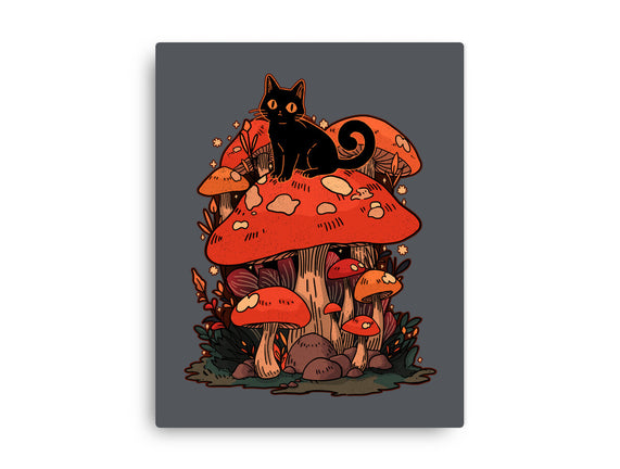 Feline Fungi