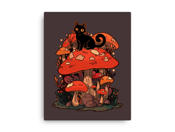 Feline Fungi