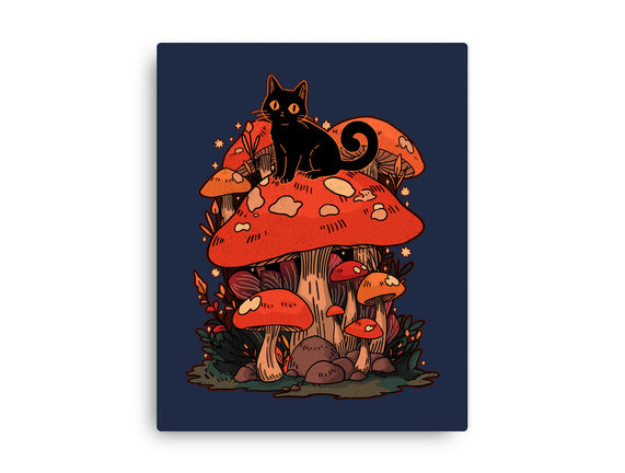 Feline Fungi