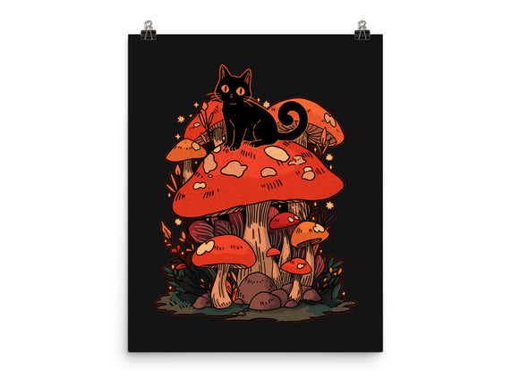 Feline Fungi