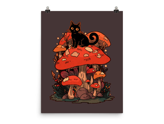 Feline Fungi