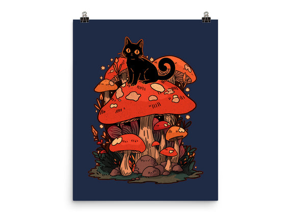 Feline Fungi