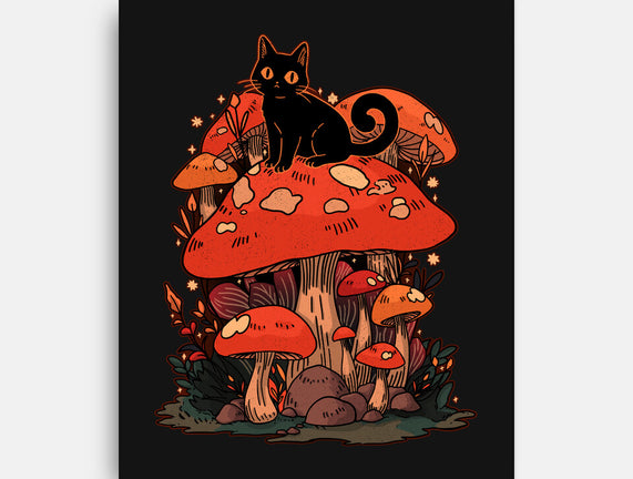 Feline Fungi