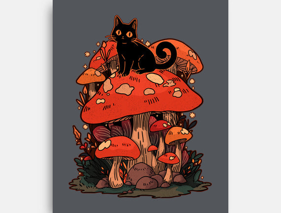 Feline Fungi