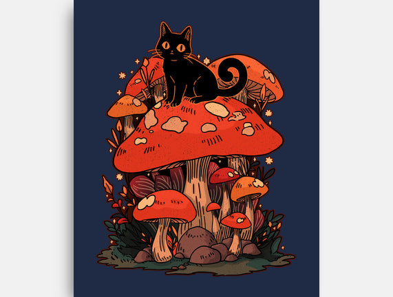 Feline Fungi