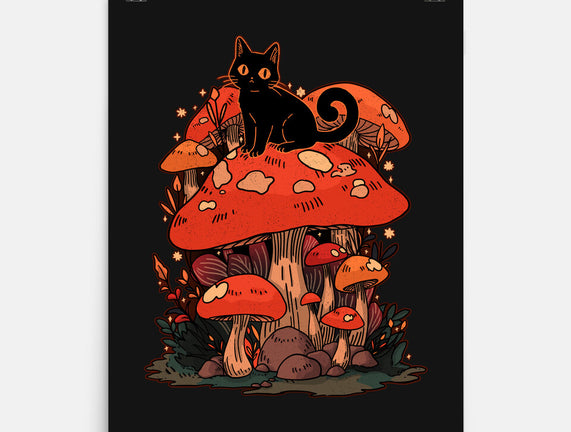 Feline Fungi