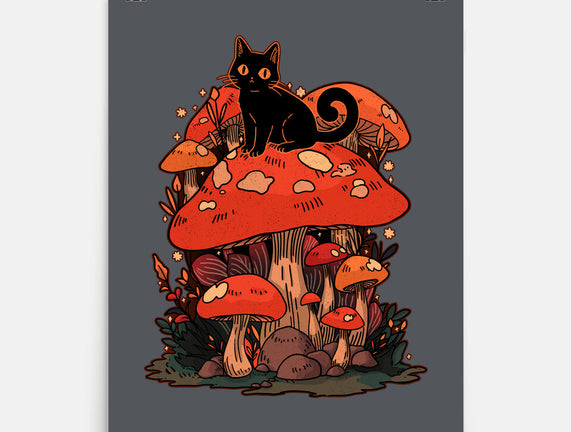 Feline Fungi