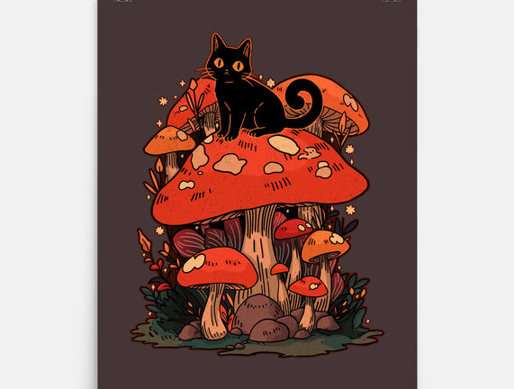 Feline Fungi