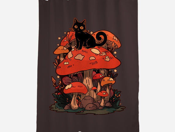 Feline Fungi