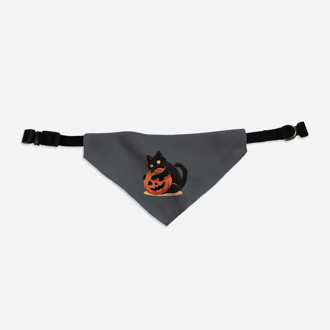 Pumpkin Embrace-Cat-Adjustable-Pet Collar-fanfreak1