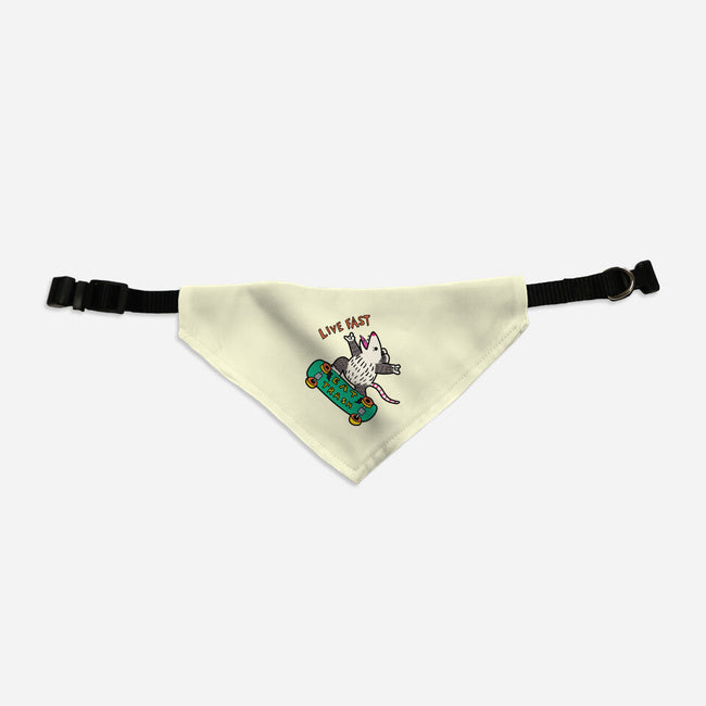 Skate And Eat Trash-Cat-Adjustable-Pet Collar-MaxoArt