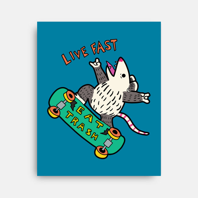 Skate And Eat Trash-None-Stretched-Canvas-MaxoArt