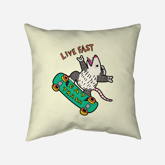 Skate And Eat Trash-None-Removable Cover-Throw Pillow-MaxoArt