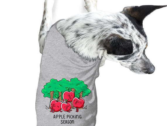 Apple Picking