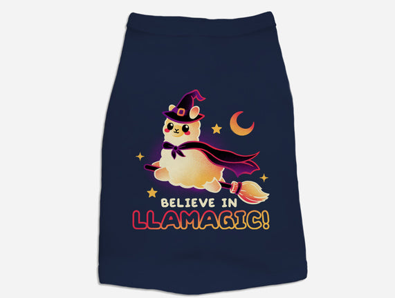 Believe In llamagic