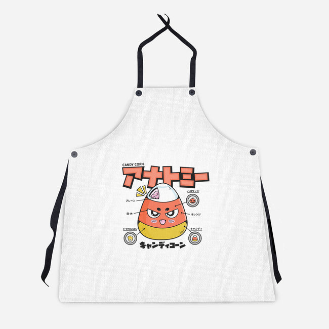 Anatomy Of A Candy Corn-Unisex-Kitchen-Apron-Bear Noise