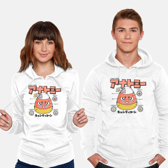 Anatomy Of A Candy Corn-Unisex-Pullover-Sweatshirt-Bear Noise