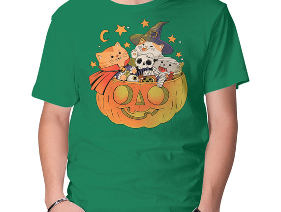 Pumpkin And Cats