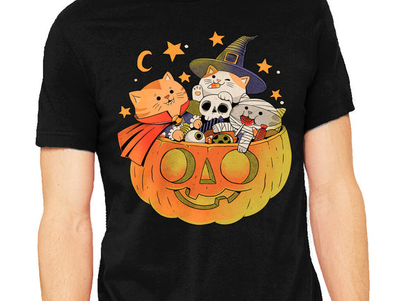 Pumpkin And Cats