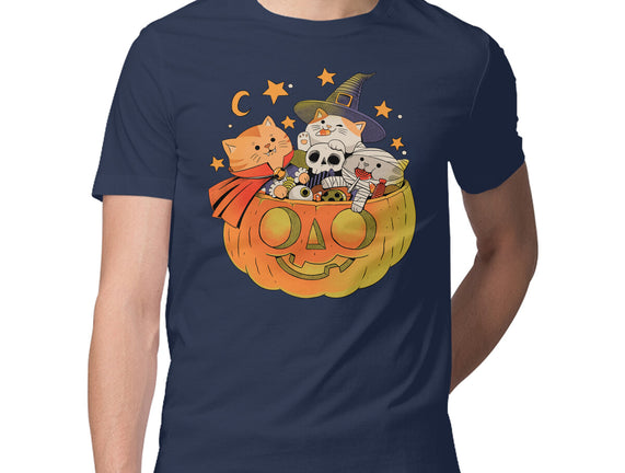 Pumpkin And Cats