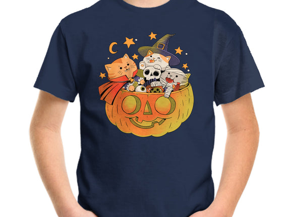 Pumpkin And Cats