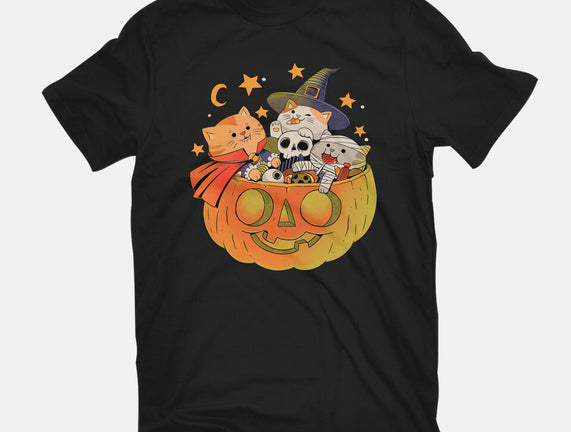 Pumpkin And Cats