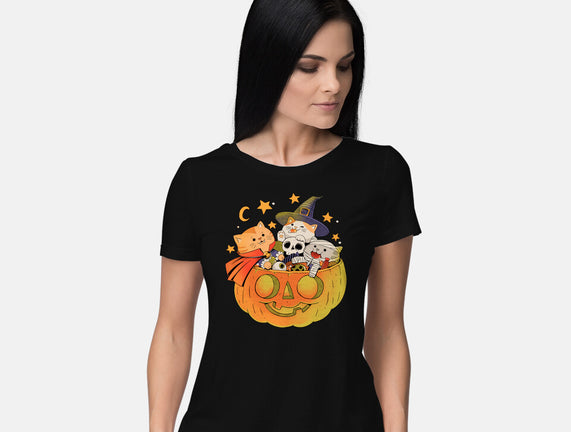 Pumpkin And Cats