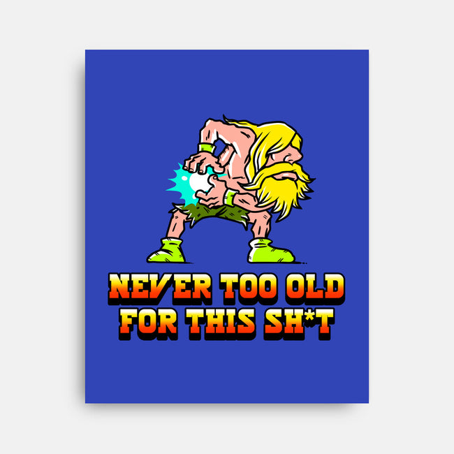 Never Too Old-None-Stretched-Canvas-naomori