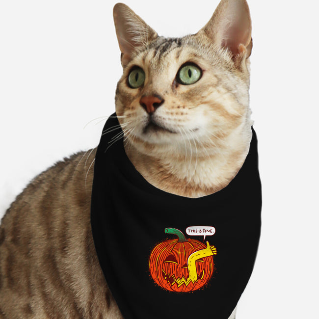 I'm Fine Pumpkin-Cat-Bandana-Pet Collar-rocketman_art