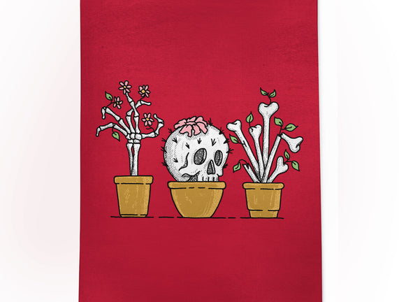 Bone Plants