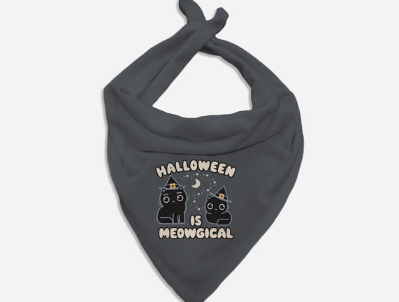 Halloween Is Meowgical