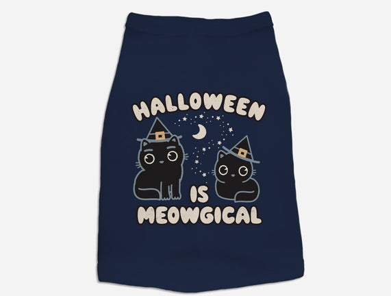 Halloween Is Meowgical