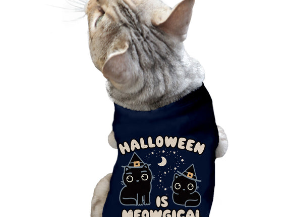 Halloween Is Meowgical