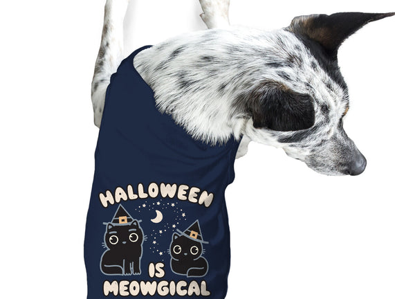 Halloween Is Meowgical