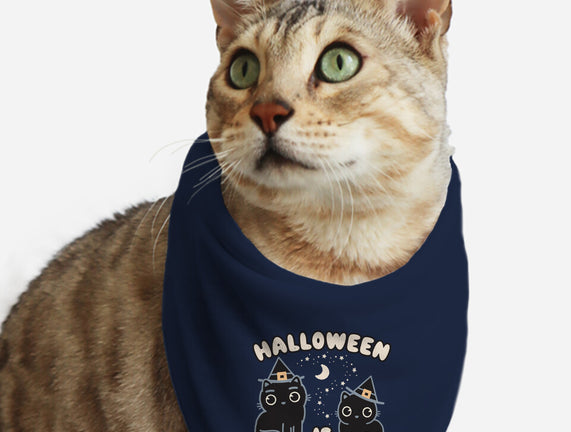 Halloween Is Meowgical