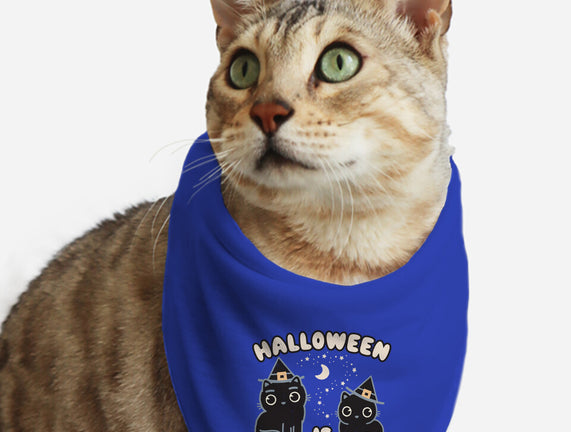 Halloween Is Meowgical