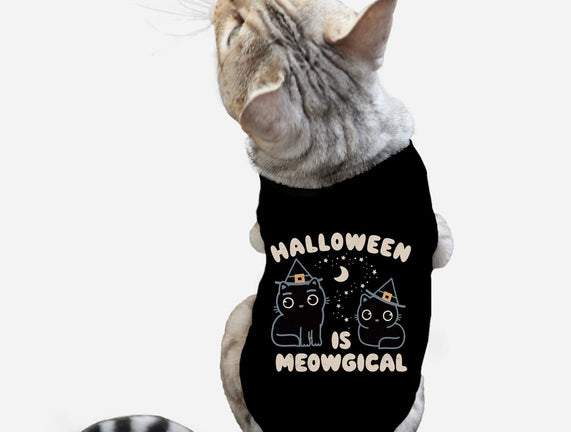 Halloween Is Meowgical