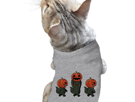 Halloween Pumpkin Kittens